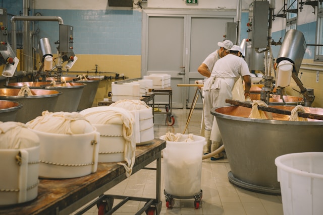 cara bersihkan food processor